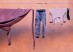 Purple fabric, jeans, a pale shirt, and a single sock hang from a clothesline against a salmon-pink stucco wall. ©CynthiaGladis