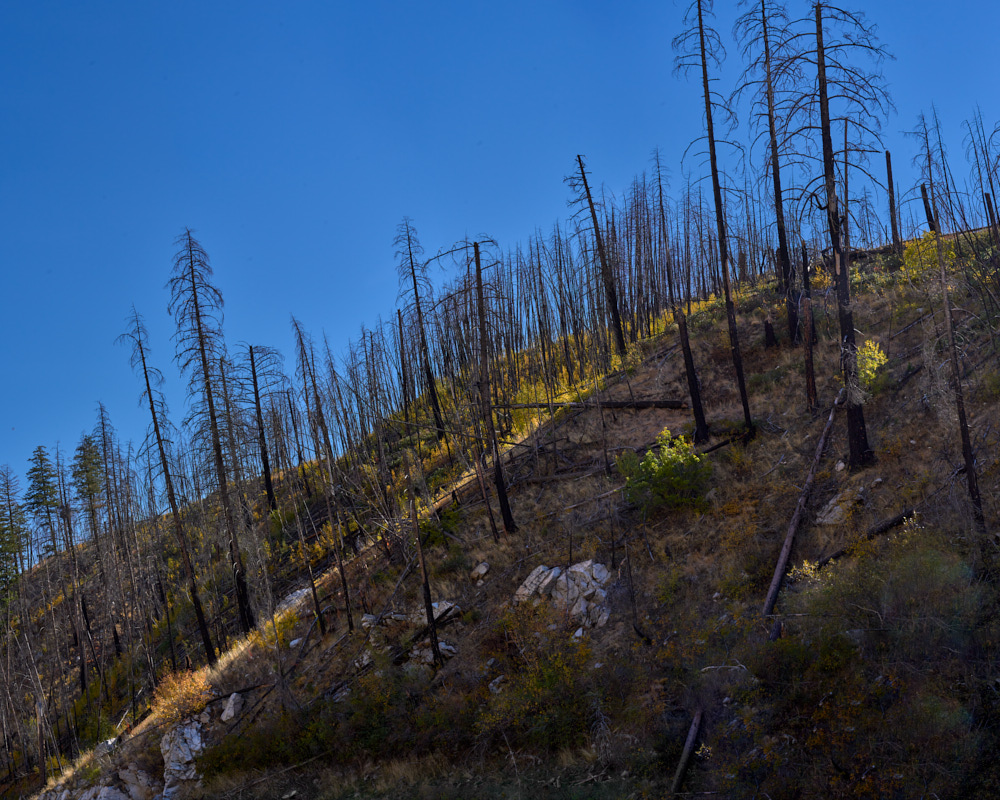 5 Stratton_Canyon_Slope_Finley_Canyon_October_6_2024