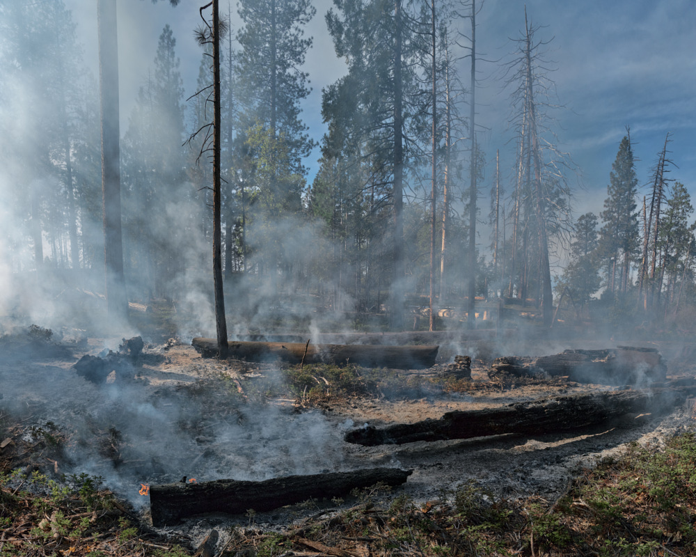8 Stratton_Prescribed_Fire_16_Yosemite_National_Park_Nov_6_2022