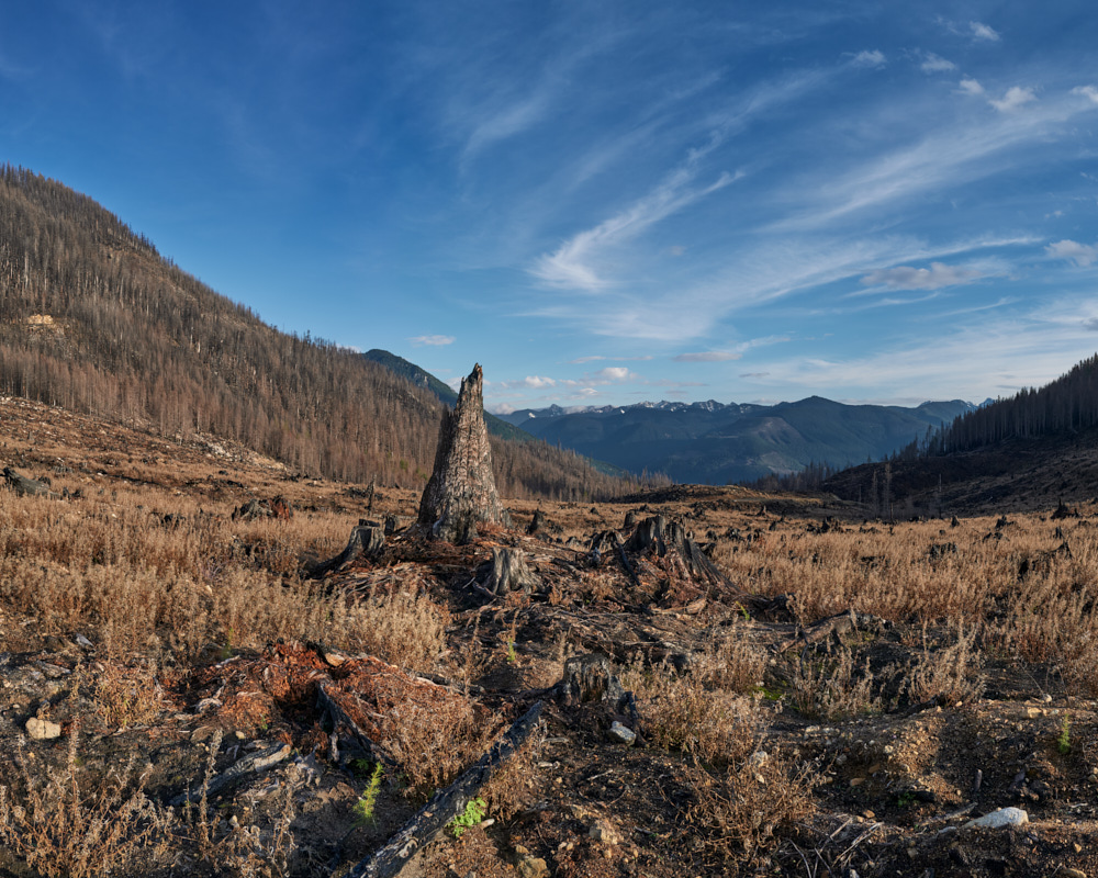 9 Stratton_Conical_Stump_Bolt_Creek_Fire_Baker_Snoqualmie_NF_Nov_18_2023