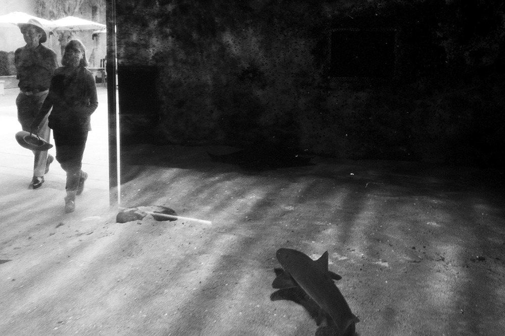 Provencio_Untitled#8