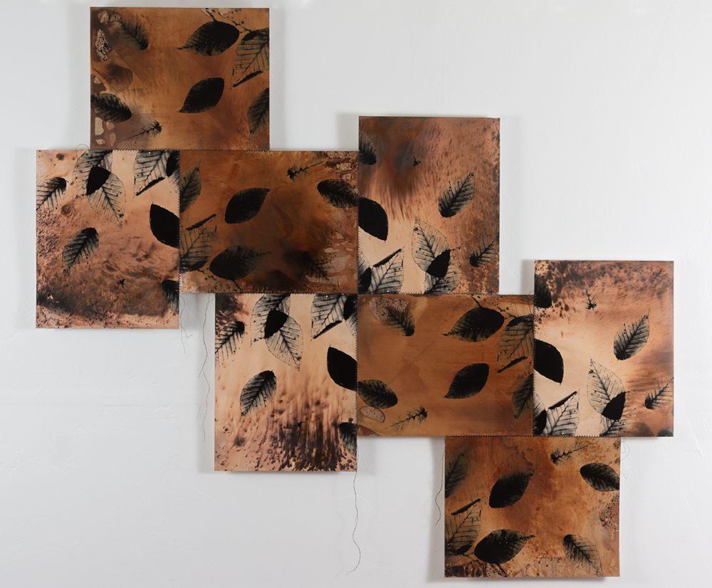 08_Conn_Bridget_What_Remains_in_February_Beech