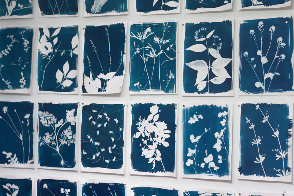 12_Conn_Bridget_HIll_Diary_studio_install