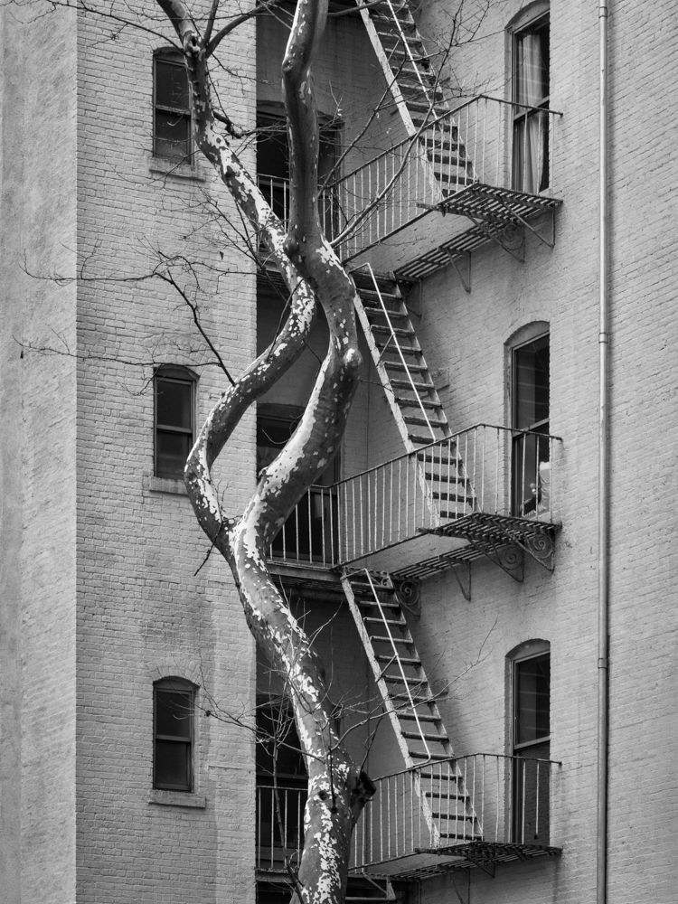 ©Sarah Hood Salomon, Copycat, from Under the Overpass