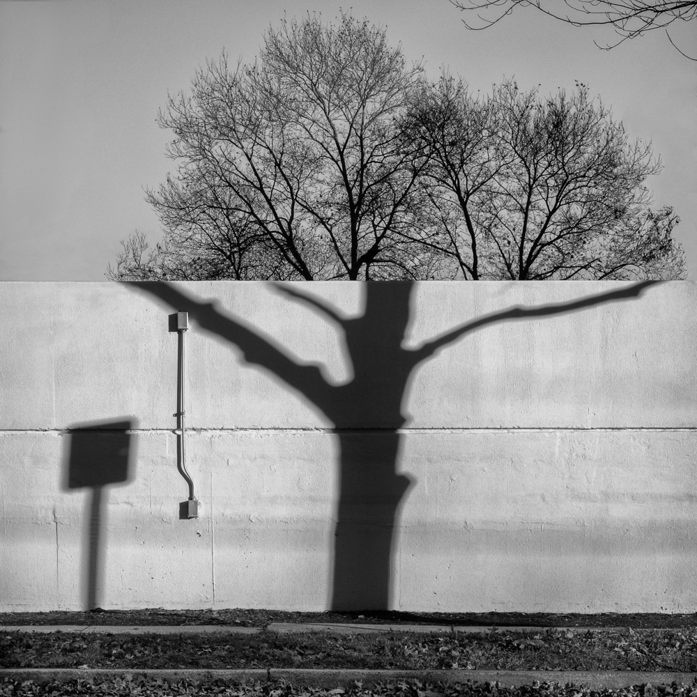 ©Sarah Hood Salomon, Shadows and Silhouettes, from Under the Overpass