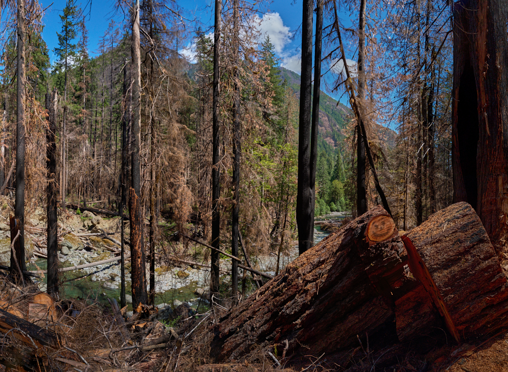 ©Margaret Stratton, Bear Gulch Fire, Olympic National Park, August 2026