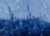 Dana Smessaert: In the Blue Light, I Died
