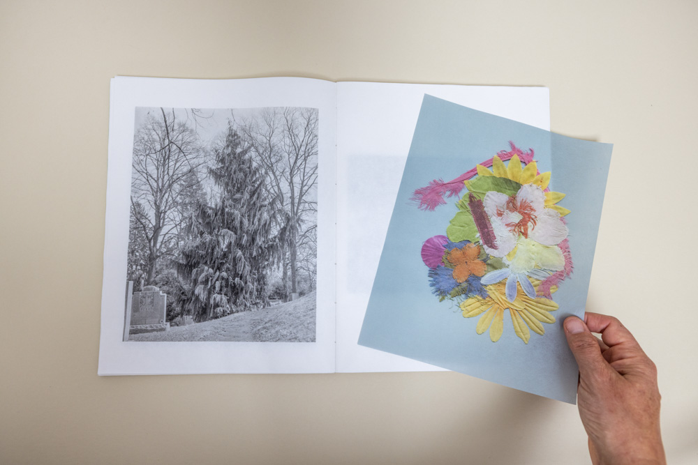 Page spread of "Weeping European Beech Baby Tonic"