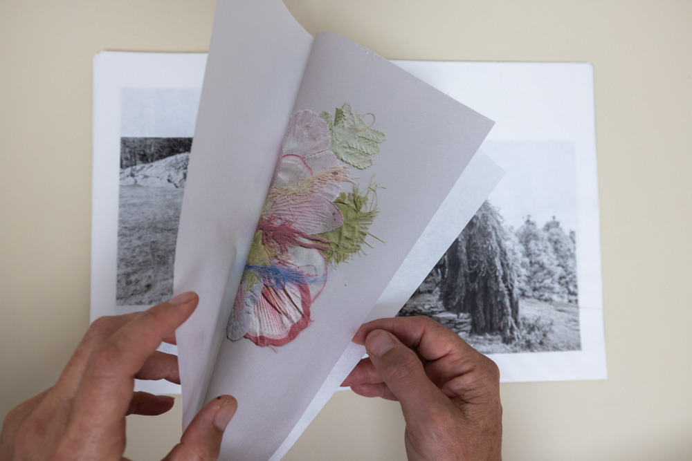 Photograph of french fold pages