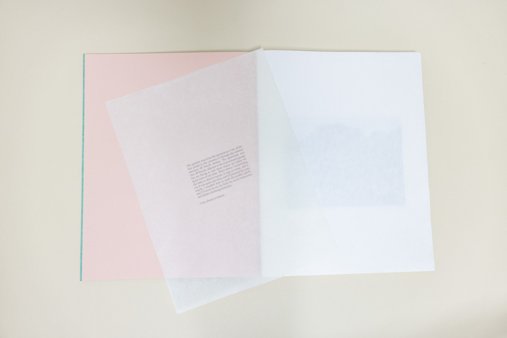 Photograph of translucent text
