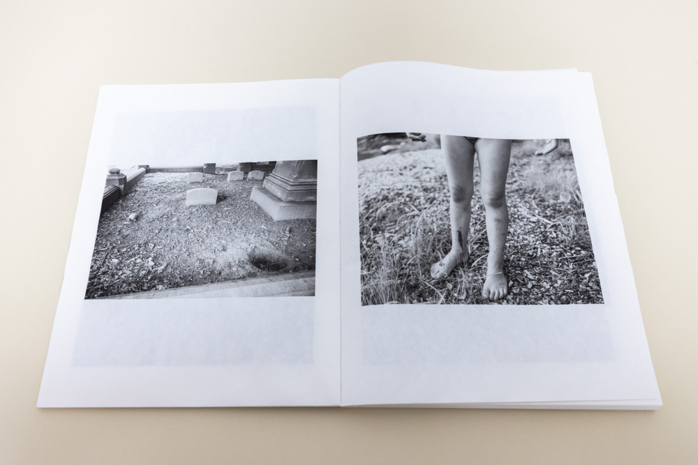 Photograph of page spread of "Weeping European Beech Baby Tonic"