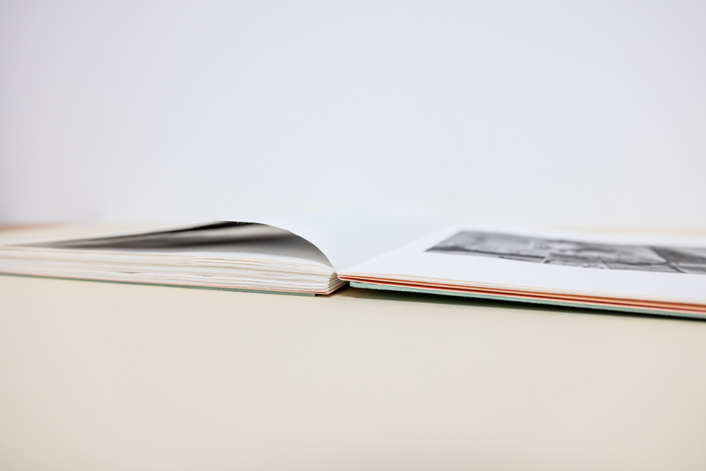 photograph of spine of book "Weeping European Beech Baby Tonic"