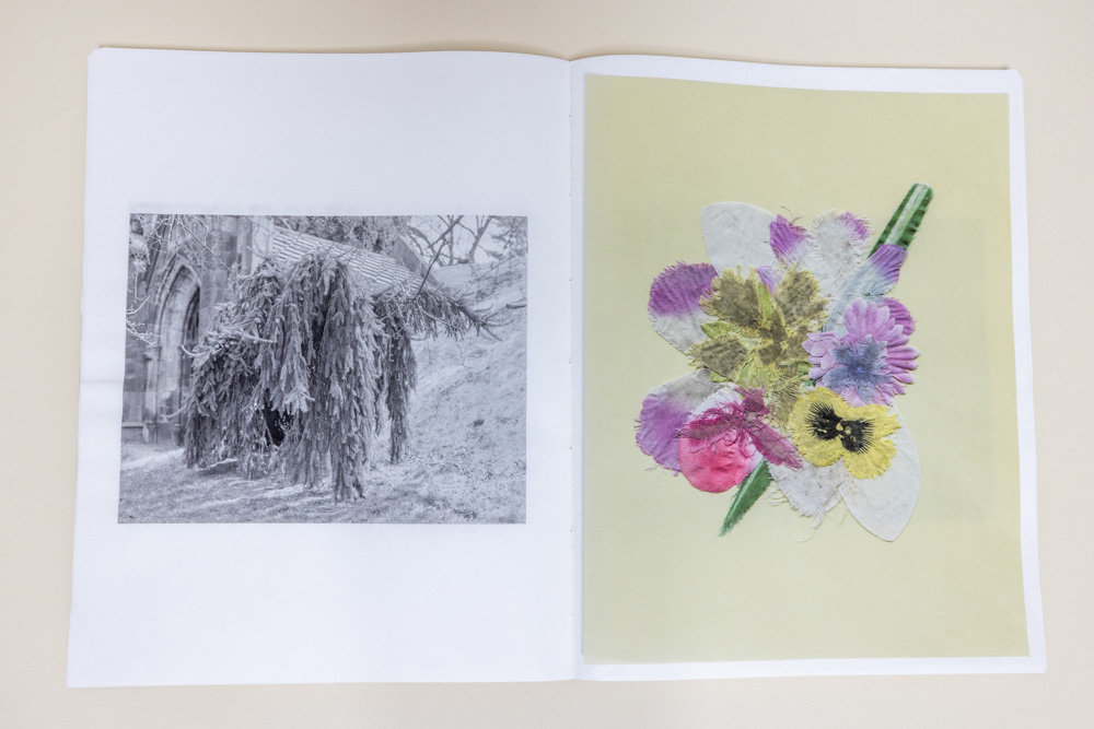Photograph of page spread of "Weeping European Beech Baby Tonic"