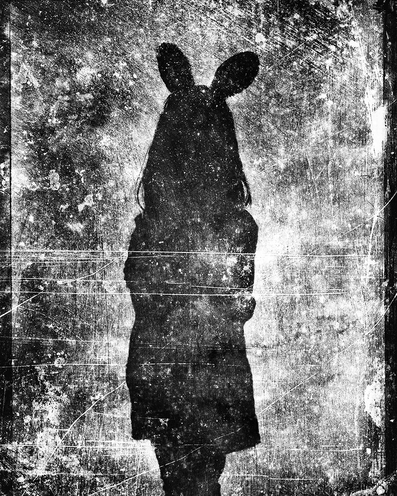 LEWIS_Shadow V copy