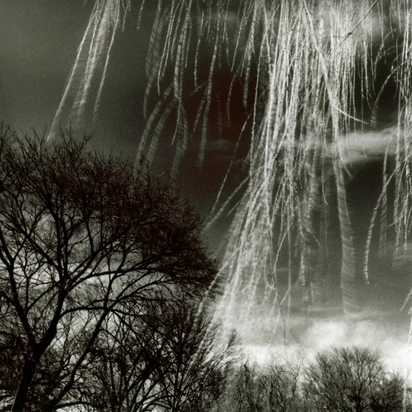 © kimberly schneider