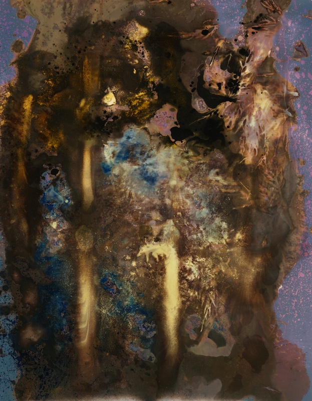 ©kimberly schneider lumen print