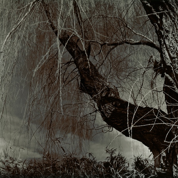 ©Kimberly Schneiderin+the+distance+brooklyn+ny+2009